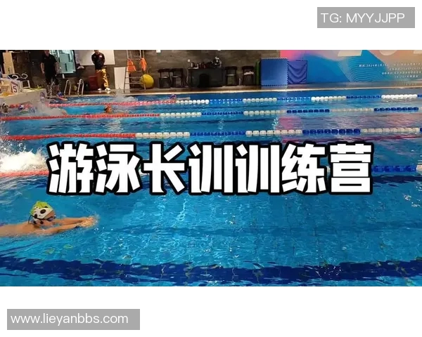 提升游泳技术与体能的系统训练计划探索与实践