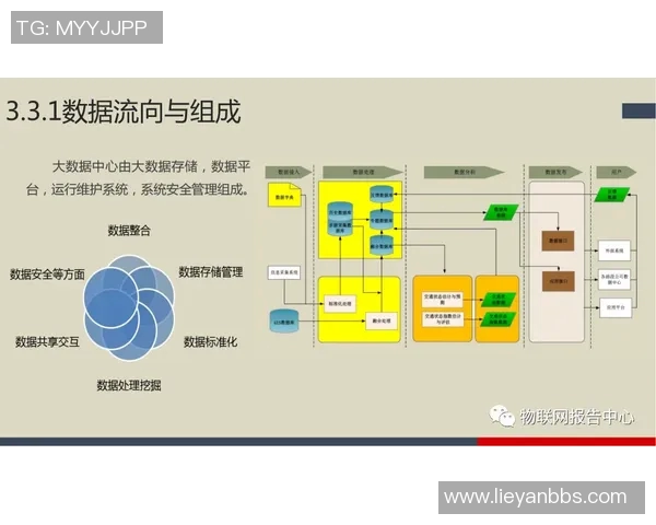 科学化自由泳训练计划打造高效提升速度与耐力的全方位方案