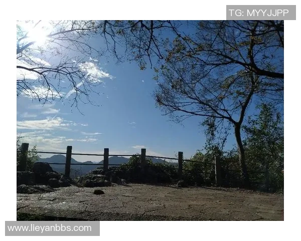 杭州攀岩队区域防守新策略探索与实践分析