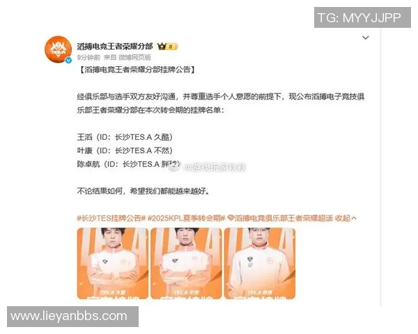 王者荣耀热议TES战队技术争议引发玩家热烈讨论与反思