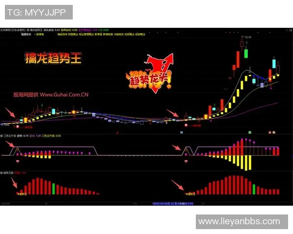专访刘丽揭秘DOTA2成功秘诀与未来发展趋势分析